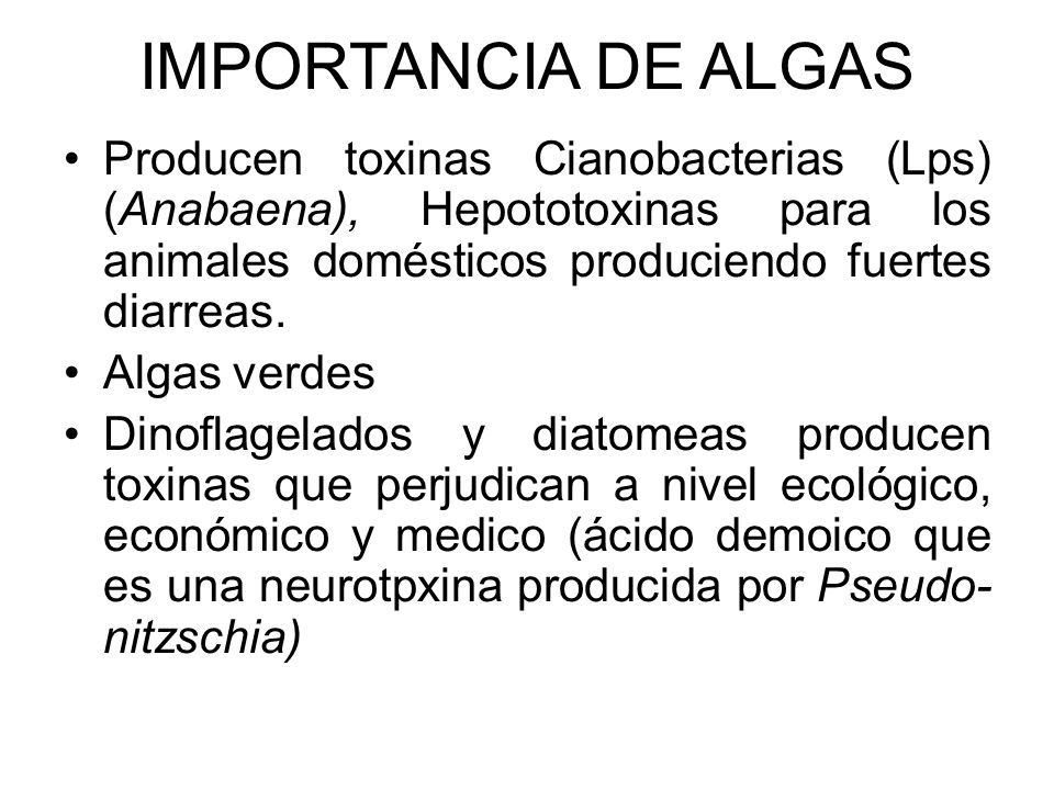 IMPORTANCIA DE ALGAS Producen toxinas Cianobacterias (Lps) (Anabaena), Hepototoxinas para los animales domésticos produciendo fuertes diarreas.