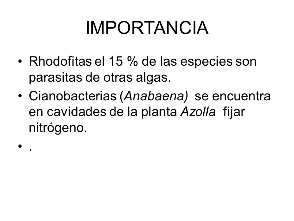 IMPORTANCIA Rhodofitas el 15 % de las especies son parasitas de otras algas.