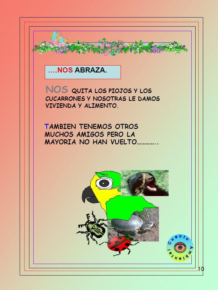 Para aprender a Amar NOS QUITA LOS PIOJOS Y LOS ….NOS ABRAZA.