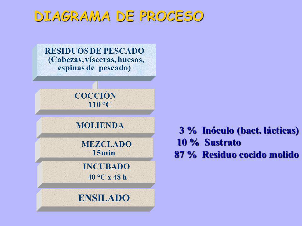 DIAGRAMA DE PROCESO 3 % Inóculo (bact. lácticas) 10 % Sustrato