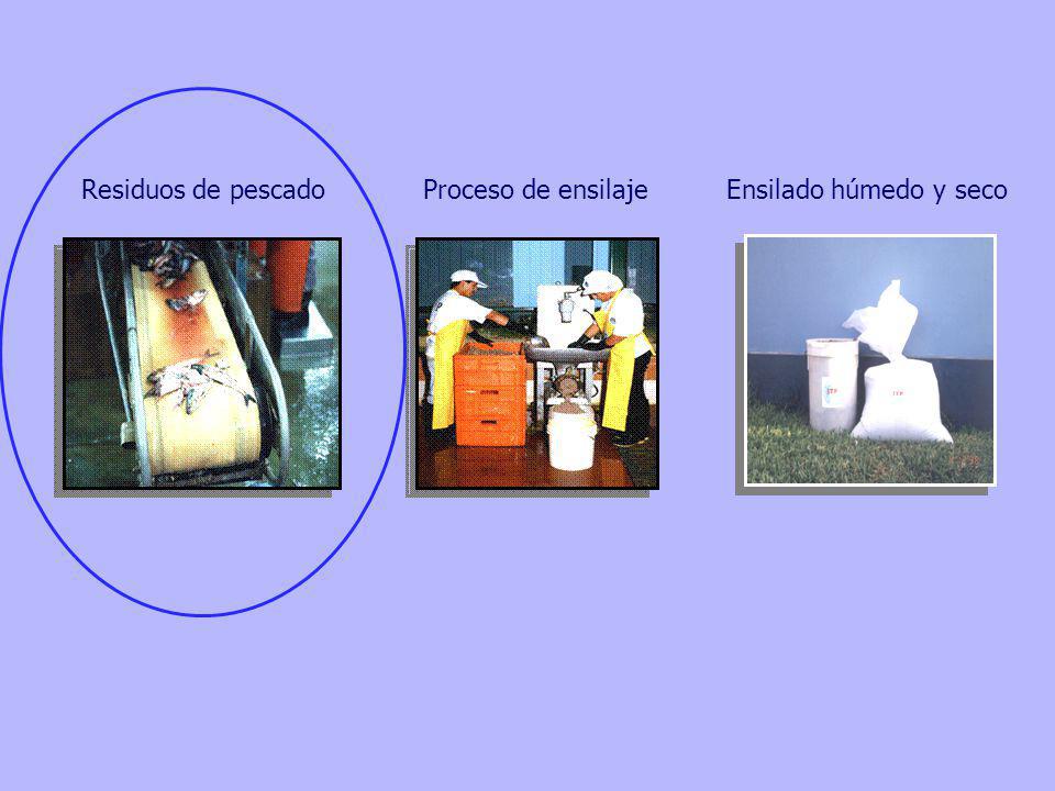 Residuos de pescado Proceso de ensilaje Ensilado húmedo y seco