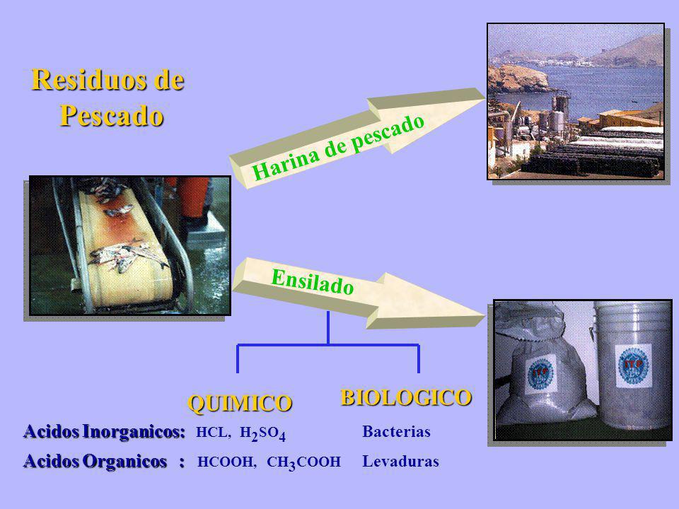 Residuos de Pescado Harina de pescado Ensilado BIOLOGICO QUIMICO