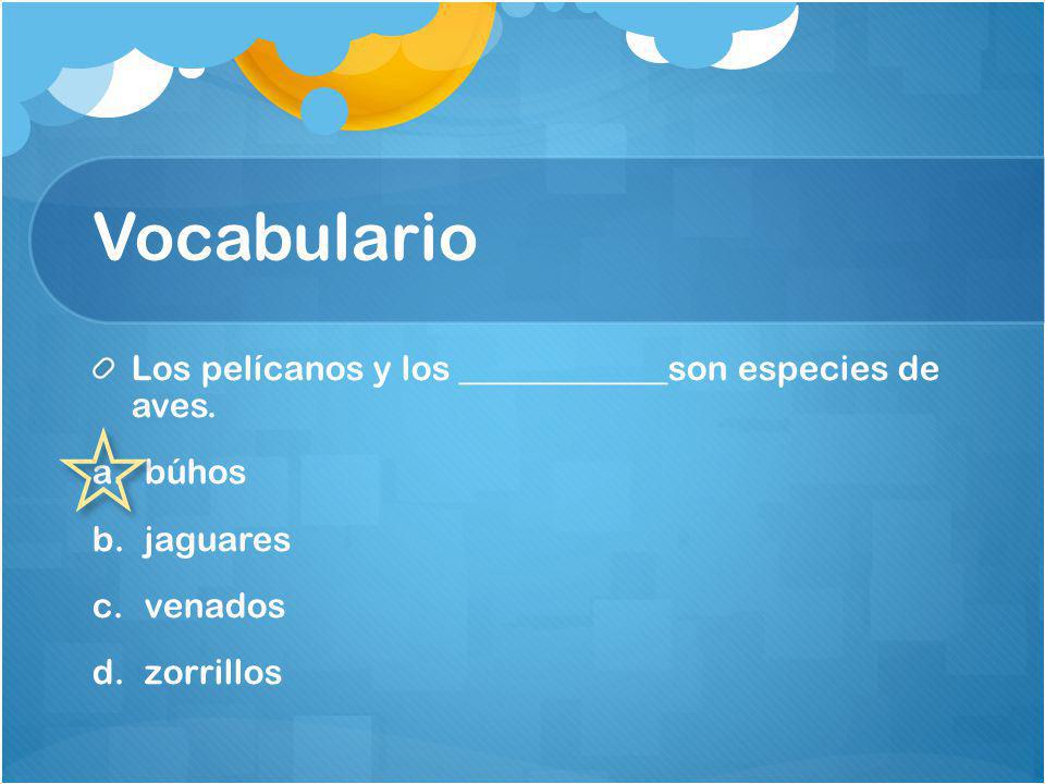 Vocabulario Los pelícanos y los ____________son especies de aves.