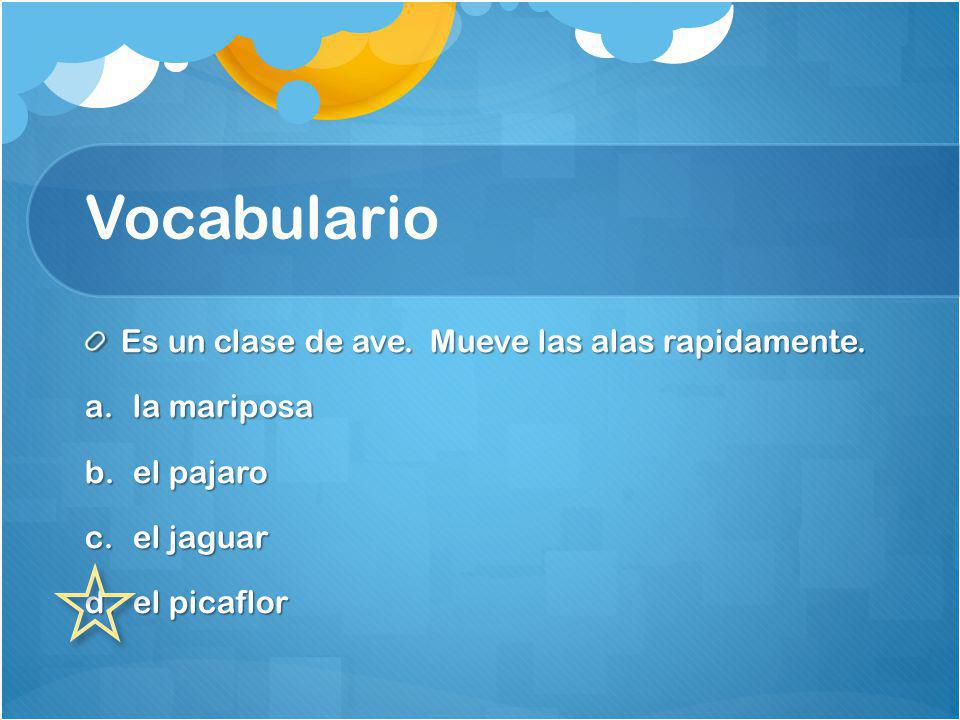Vocabulario Es un clase de ave. Mueve las alas rapidamente.
