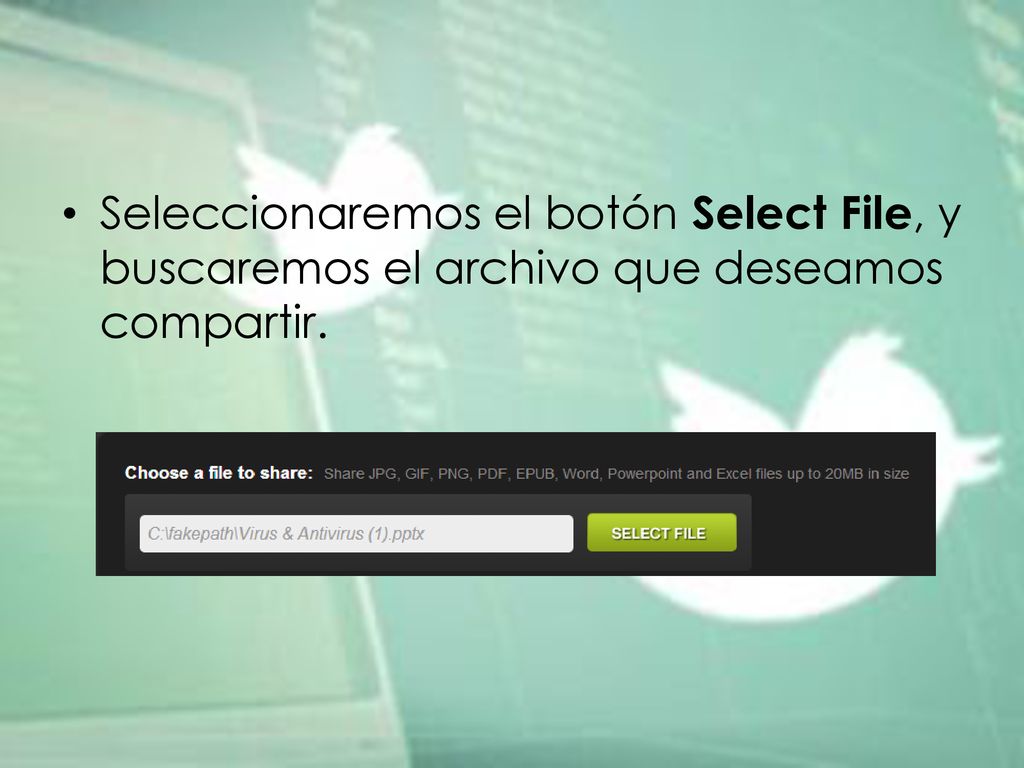 Seleccionaremos el botón Select File, y buscaremos el archivo que deseamos compartir.