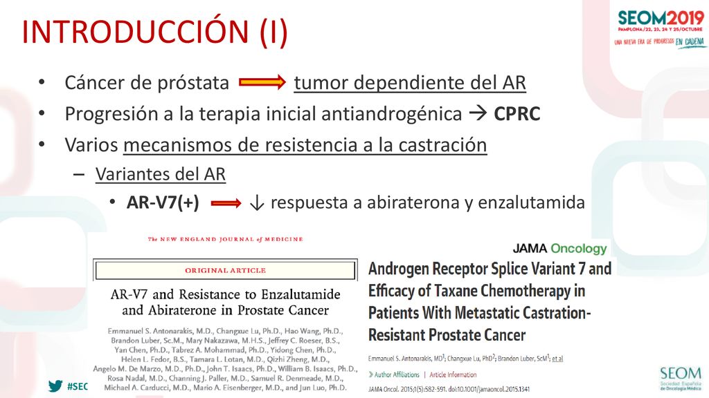INTRODUCCIÓN (I) Cáncer de próstata tumor dependiente del AR