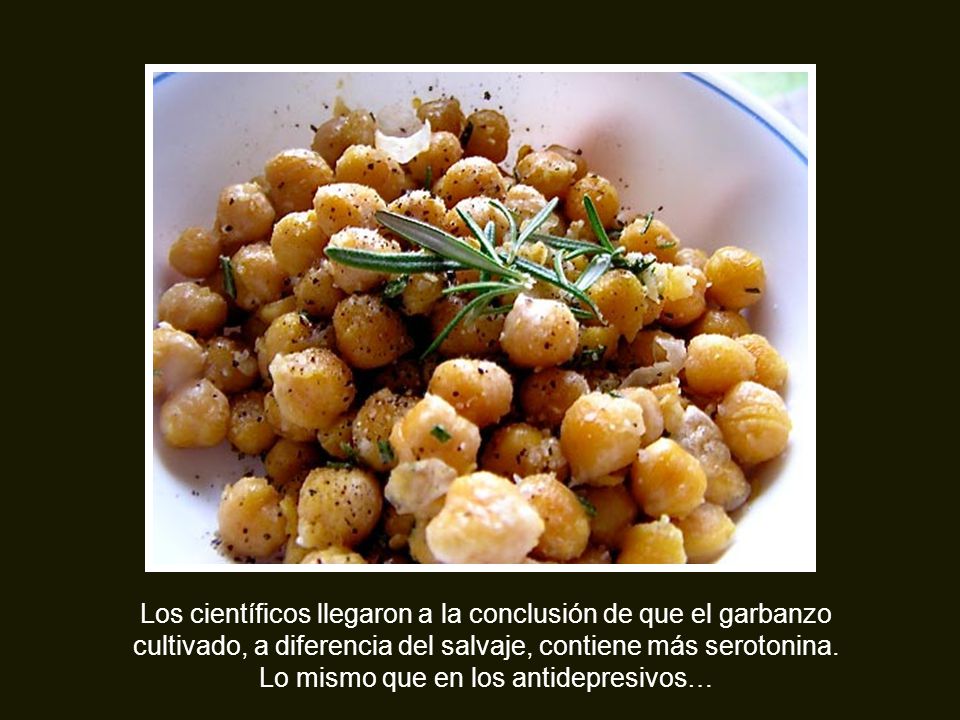 Los científicos llegaron a la conclusión de que el garbanzo cultivado, a diferencia del salvaje, contiene más serotonina.