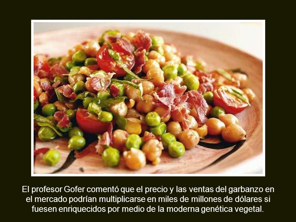 El profesor Gofer comentó que el precio y las ventas del garbanzo en el mercado podrían multiplicarse en miles de millones de dólares si fuesen enriquecidos por medio de la moderna genética vegetal.