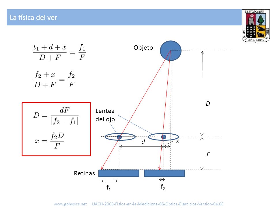 La física del ver Objeto D Lentes del ojo x d F Retinas f1 f2