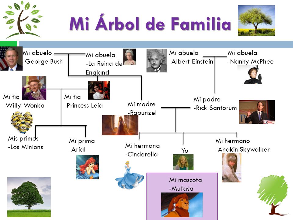 Mi Árbol de Familia Mi abuelo -George Bush Mi abuelo -Albert Einstein