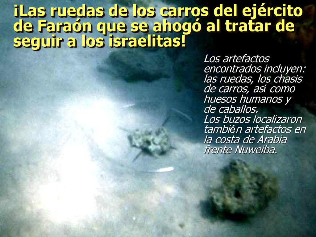 ¡Las ruedas de los carros del ejército de Faraón que se ahogó al tratar de seguir a los israelitas!