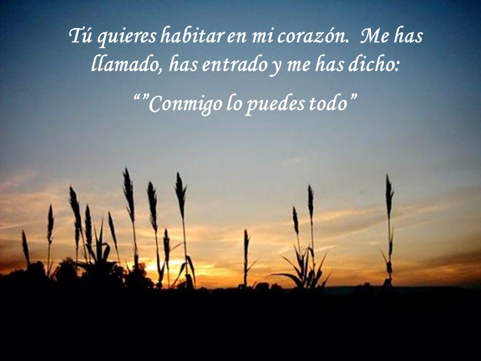 Conmigo lo puedes todo