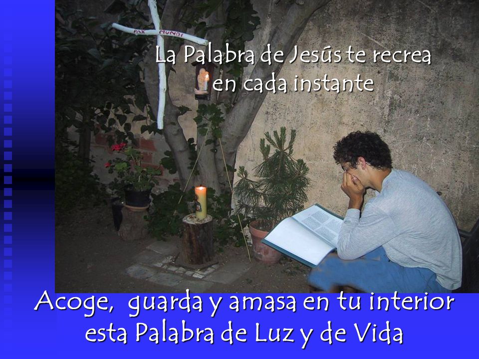 Acoge, guarda y amasa en tu interior esta Palabra de Luz y de Vida