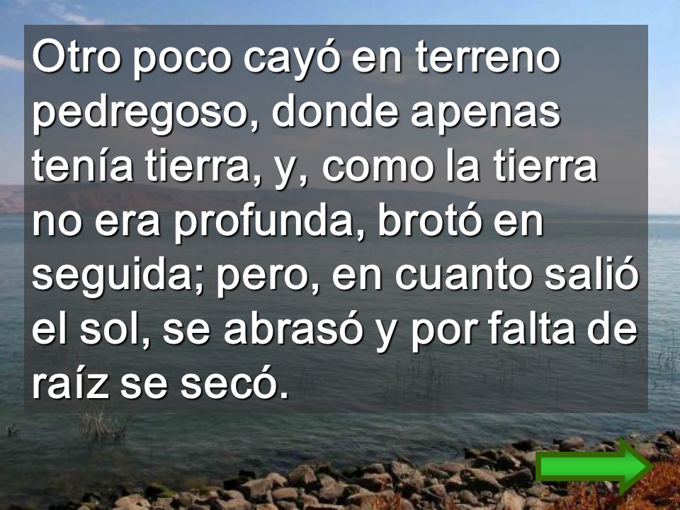 Otro poco cayó en terreno pedregoso, donde apenas tenía tierra, y, como la tierra no era profunda, brotó en seguida; pero, en cuanto salió el sol, se abrasó y por falta de raíz se secó.