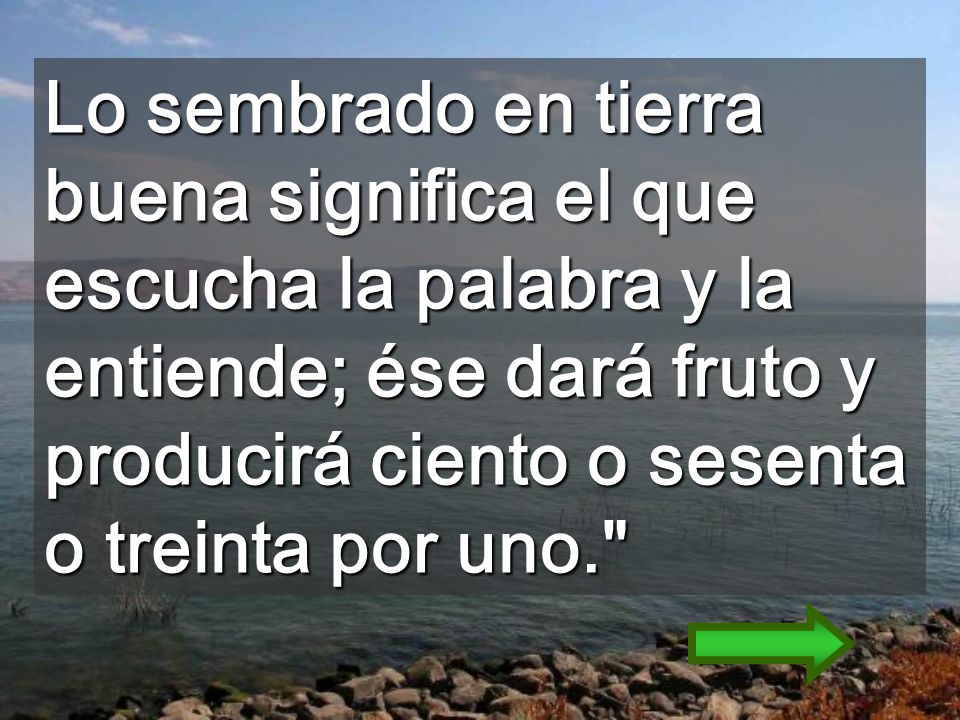 Lo sembrado en tierra buena significa el que escucha la palabra y la entiende; ése dará fruto y producirá ciento o sesenta o treinta por uno.