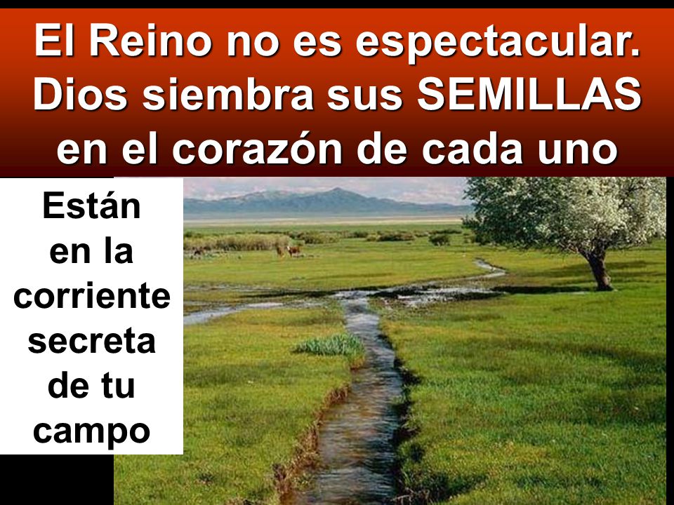 Están en la corriente secreta de tu campo