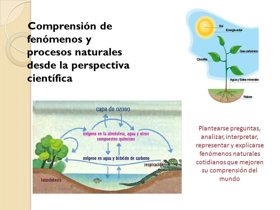 Comprensión de fenómenos y procesos naturales desde la perspectiva científica