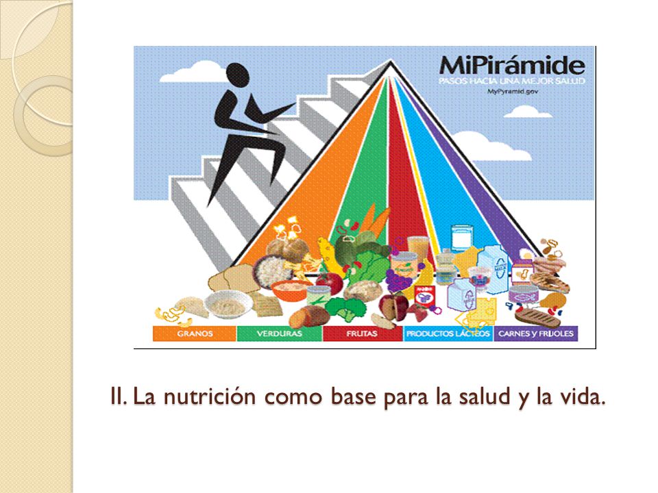 II. La nutrición como base para la salud y la vida.