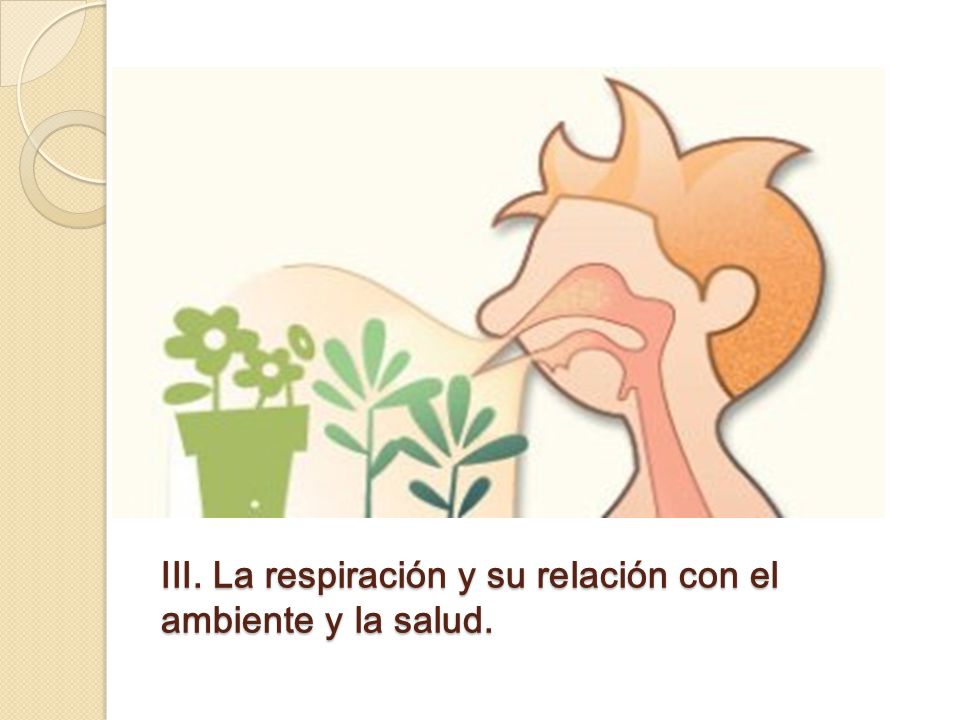 III. La respiración y su relación con el ambiente y la salud.