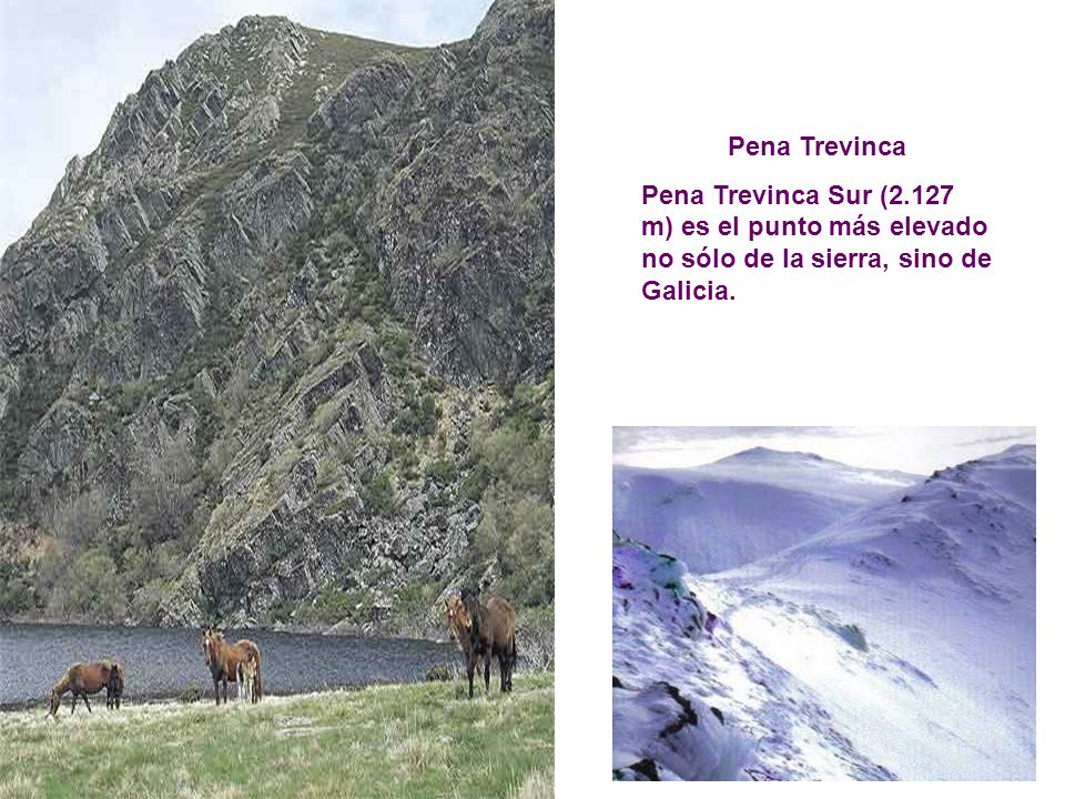 Pena Trevinca Pena Trevinca Sur (2.127 m) es el punto más elevado no sólo de la sierra, sino de Galicia.
