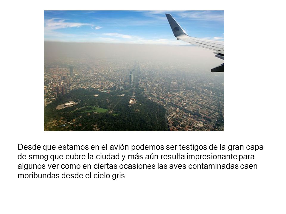 Desde que estamos en el avión podemos ser testigos de la gran capa de smog que cubre la ciudad y más aún resulta impresionante para algunos ver como en ciertas ocasiones las aves contaminadas caen moribundas desde el cielo gris