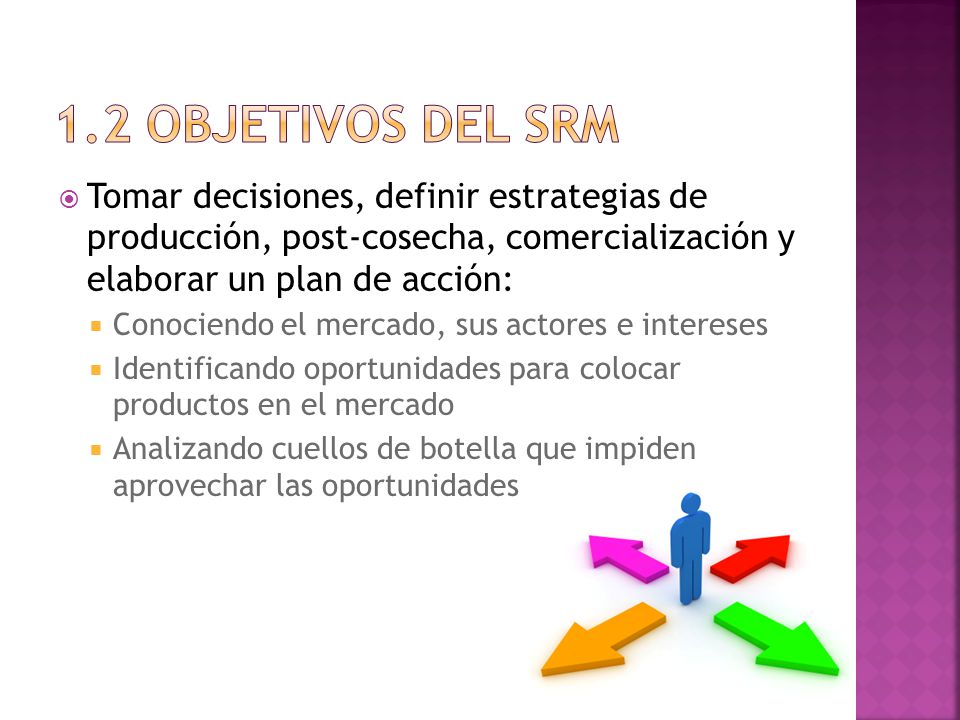 1.2 OBJETIVOS DEL SRM Tomar decisiones, definir estrategias de producción, post-cosecha, comercialización y elaborar un plan de acción: