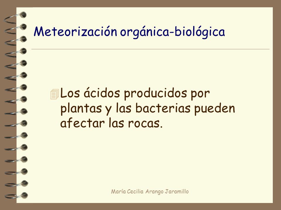Meteorización orgánica-biológica