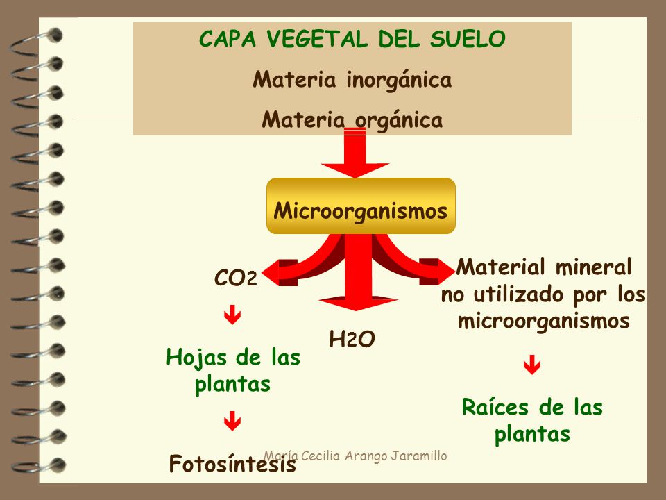 Material mineral no utilizado por los microorganismos
