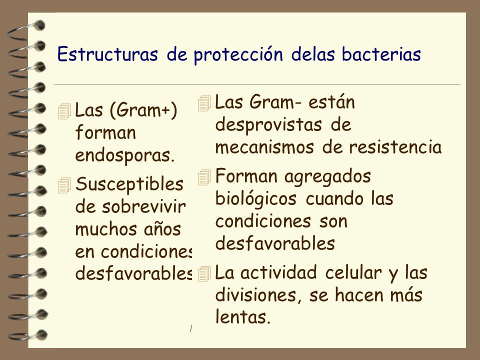 Estructuras de protección delas bacterias