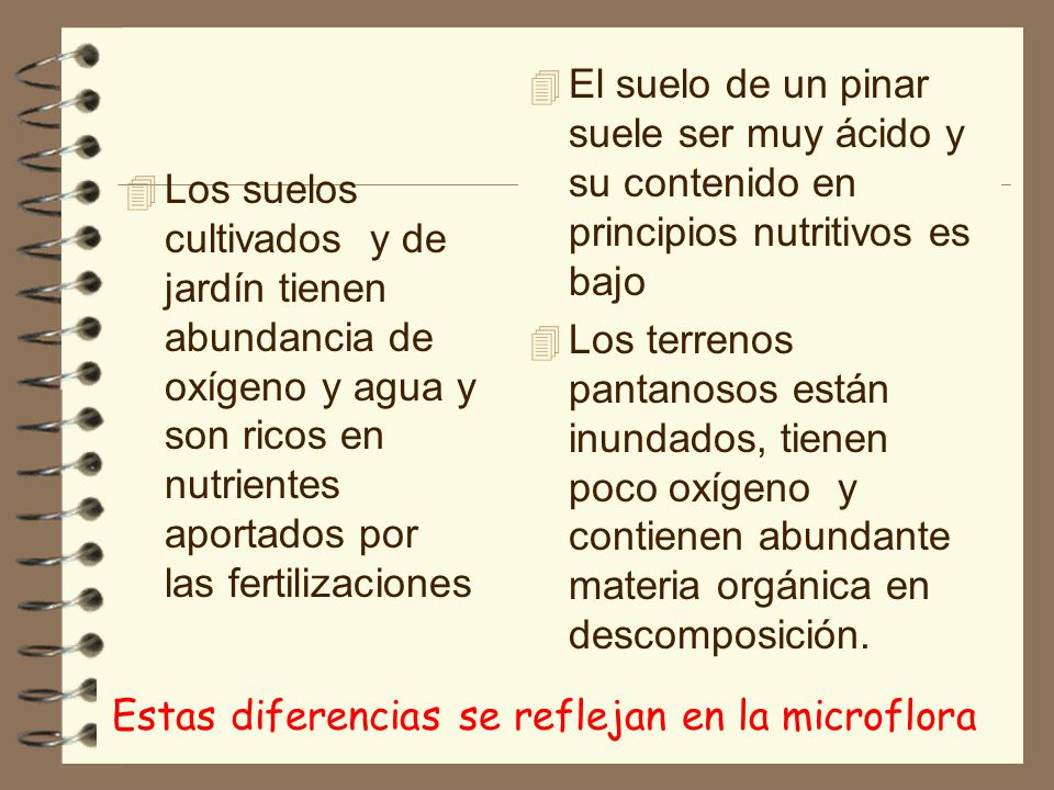 Estas diferencias se reflejan en la microflora