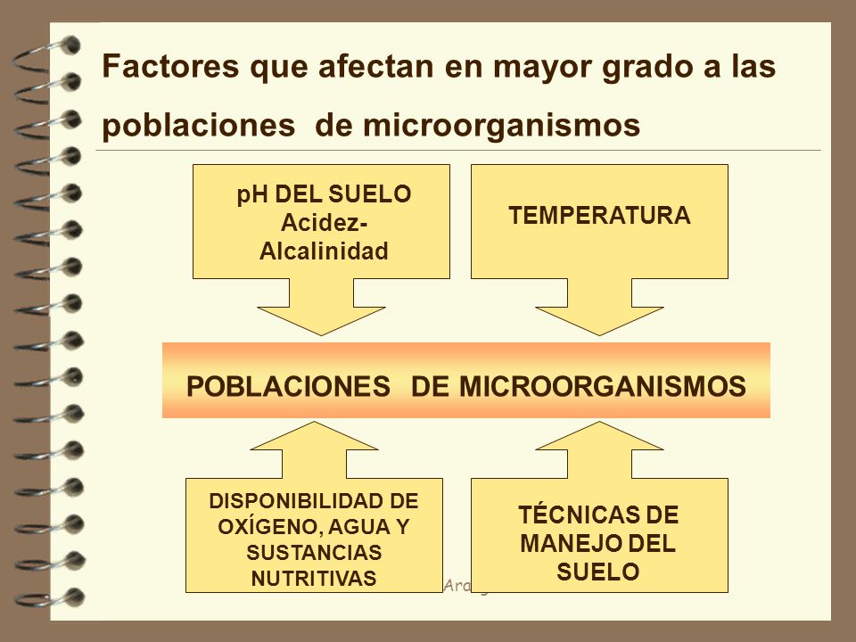 POBLACIONES DE MICROORGANISMOS