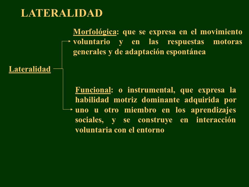 LATERALIDAD Morfológica: que se expresa en el movimiento voluntario y en las respuestas motoras generales y de adaptación espontánea.