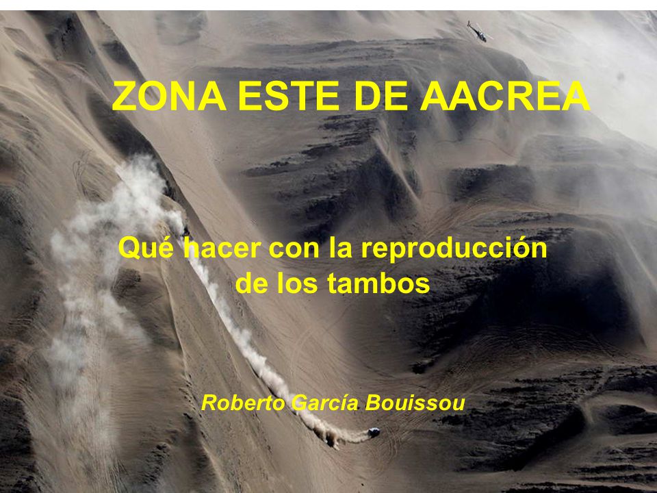 Qué hacer con la reproducción de los tambos Roberto García Bouissou