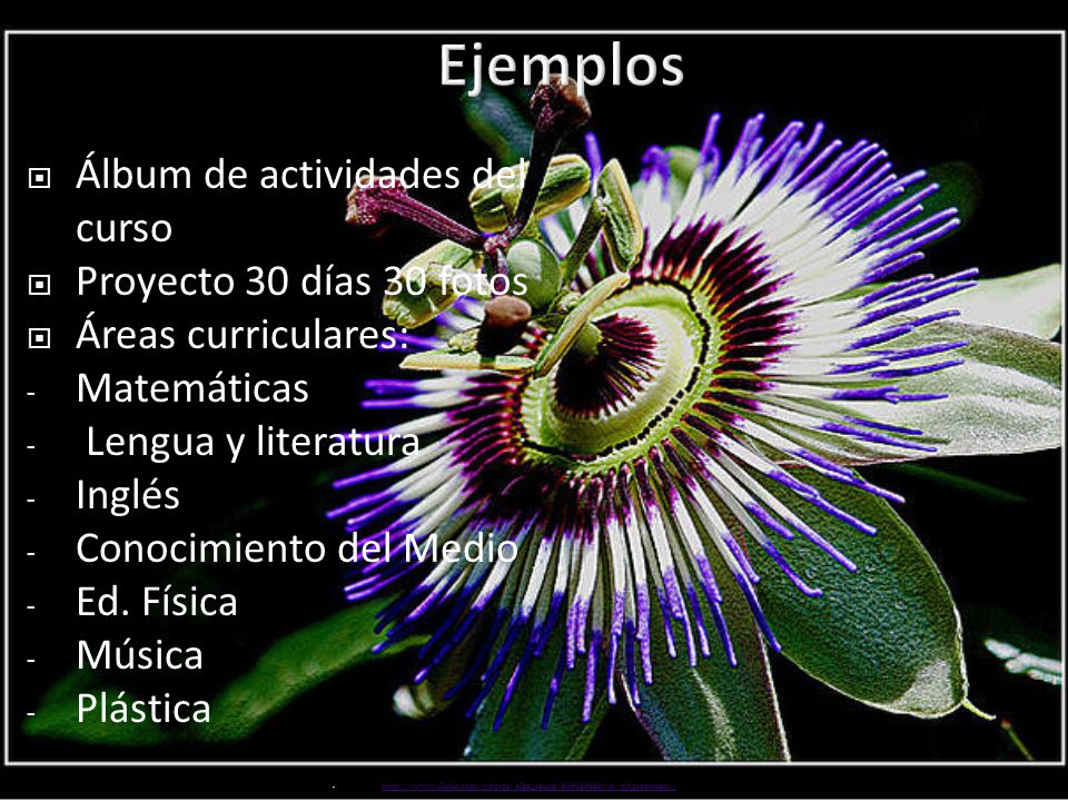 Ejemplos Álbum de actividades del curso Proyecto 30 días 30 fotos