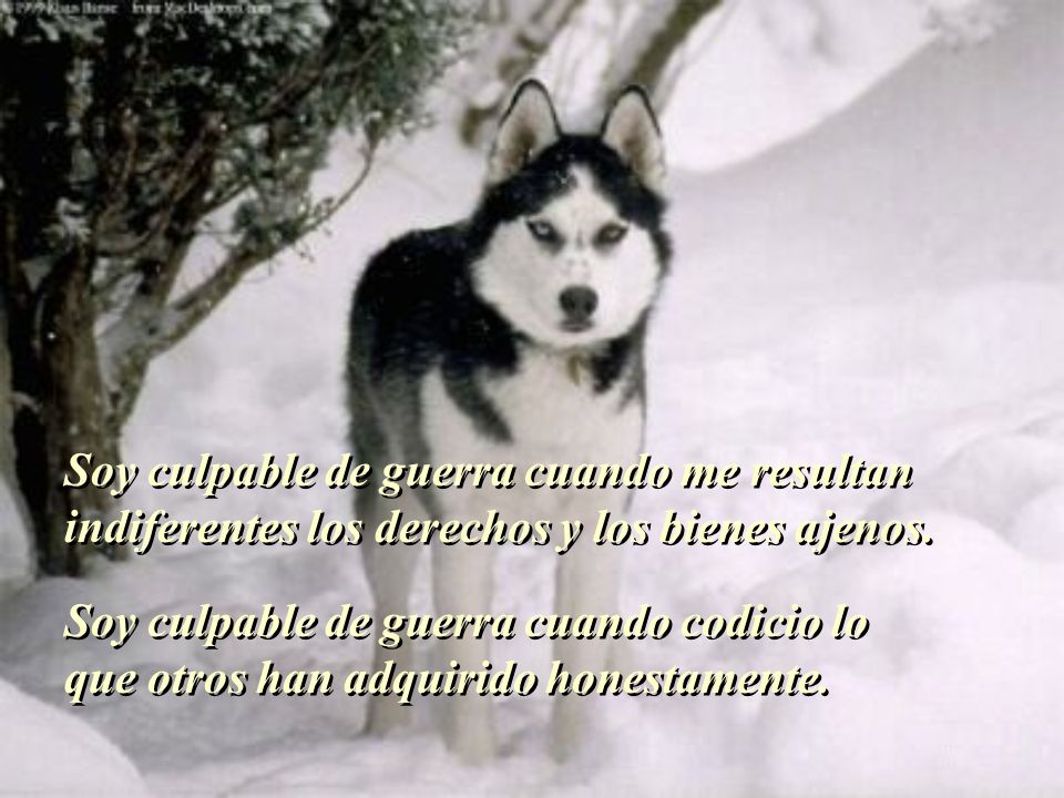 Soy culpable de guerra cuando me resultan indiferentes los derechos y los bienes ajenos.