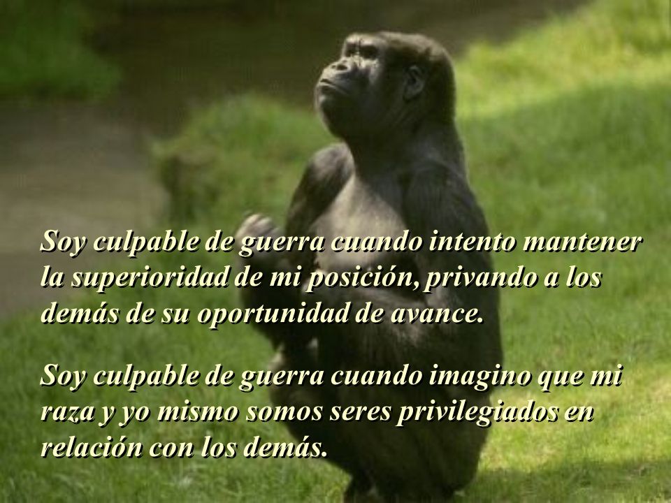 Soy culpable de guerra cuando intento mantener la superioridad de mi posición, privando a los demás de su oportunidad de avance.