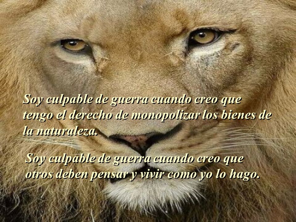 Soy culpable de guerra cuando creo que tengo el derecho de monopolizar los bienes de la naturaleza.