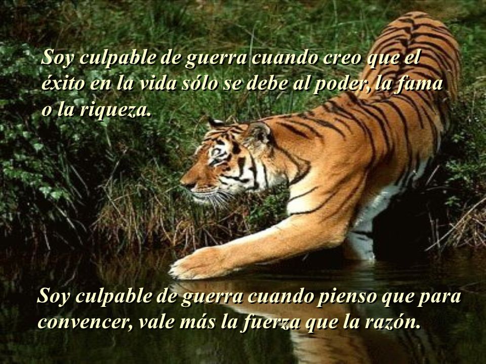Soy culpable de guerra cuando creo que el éxito en la vida sólo se debe al poder, la fama o la riqueza.