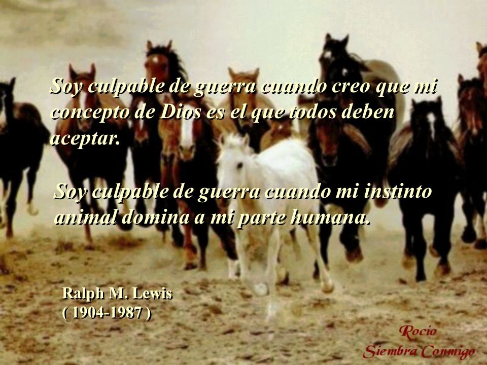 Soy culpable de guerra cuando creo que mi concepto de Dios es el que todos deben aceptar.