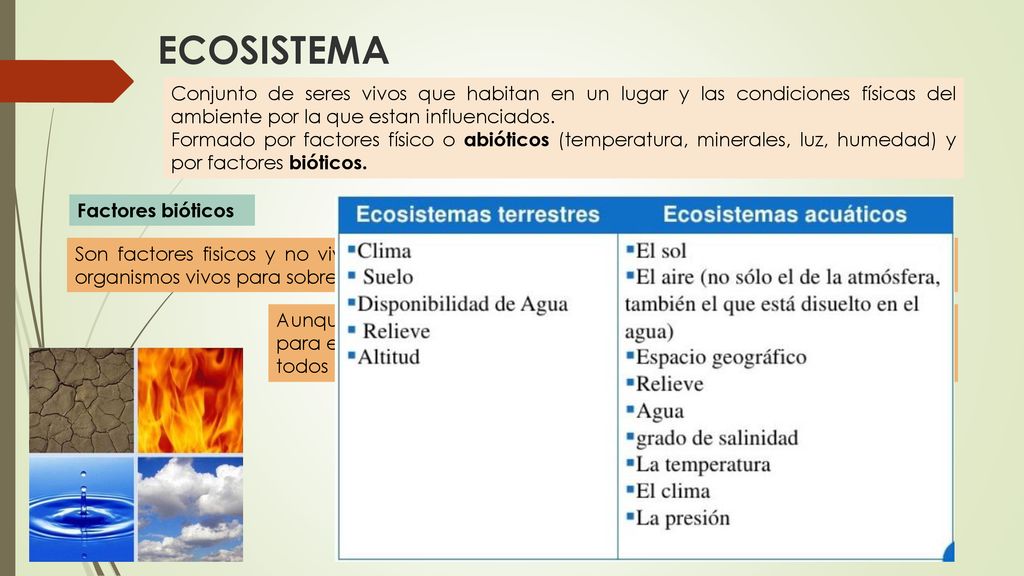 ECOSISTEMA Conjunto de seres vivos que habitan en un lugar y las condiciones físicas del ambiente por la que estan influenciados.