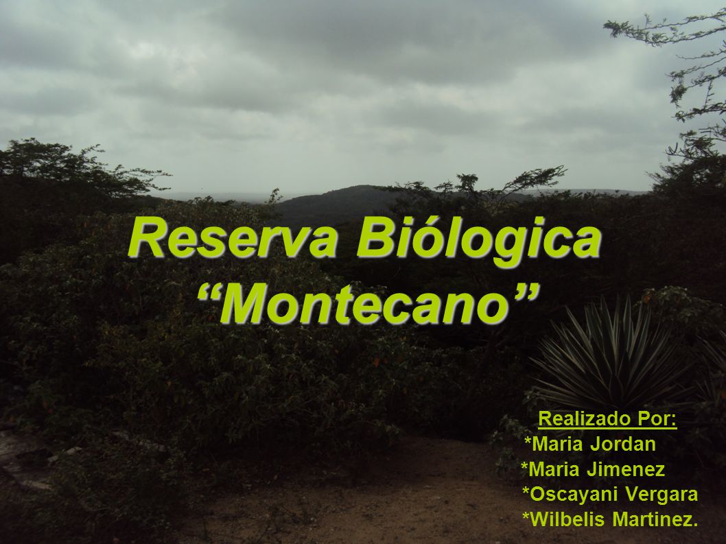 Reserva Biólogica Montecano