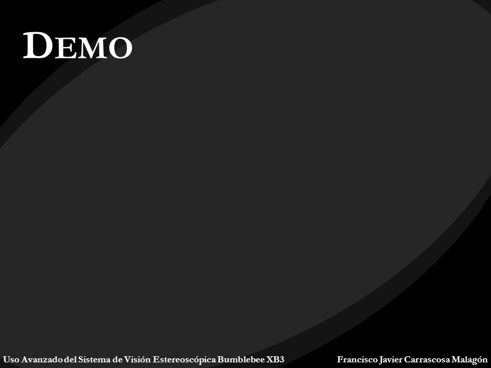 Demo Uso Avanzado del Sistema de Visión Estereoscópica Bumblebee XB3