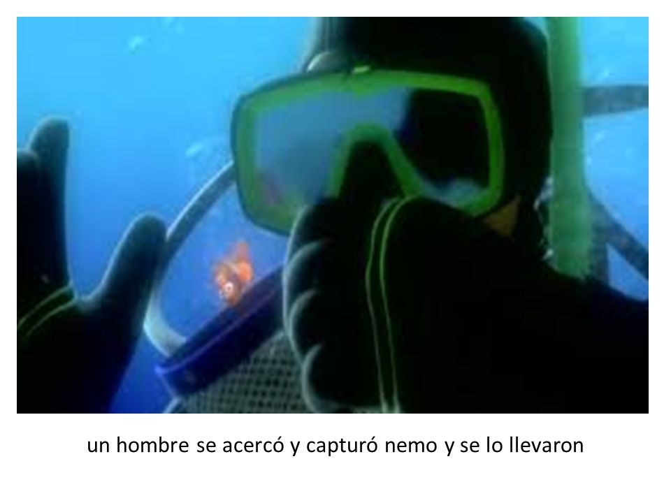 un hombre se acercó y capturó nemo y se lo llevaron