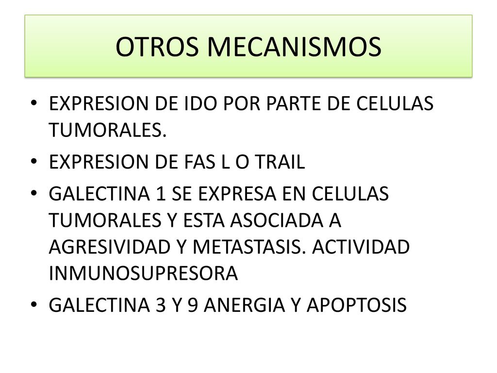 OTROS MECANISMOS EXPRESION DE IDO POR PARTE DE CELULAS TUMORALES.