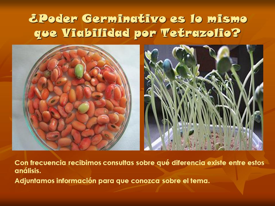¿Poder Germinativo es lo mismo que Viabilidad por Tetrazolio