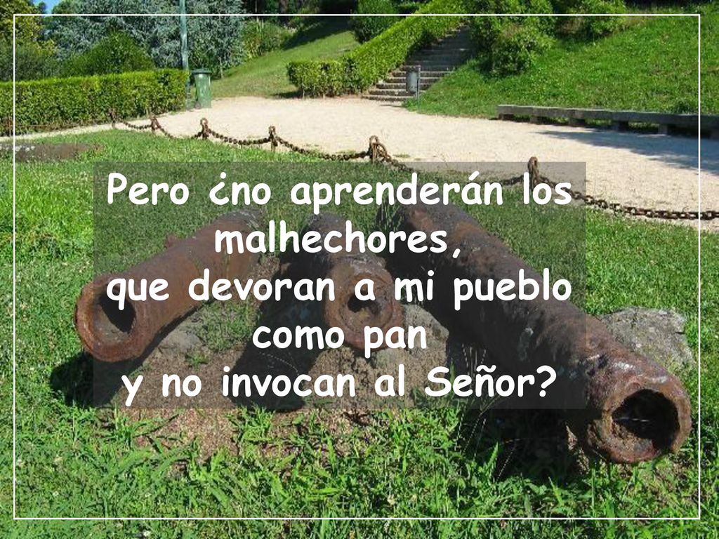 Pero ¿no aprenderán los malhechores, que devoran a mi pueblo como pan