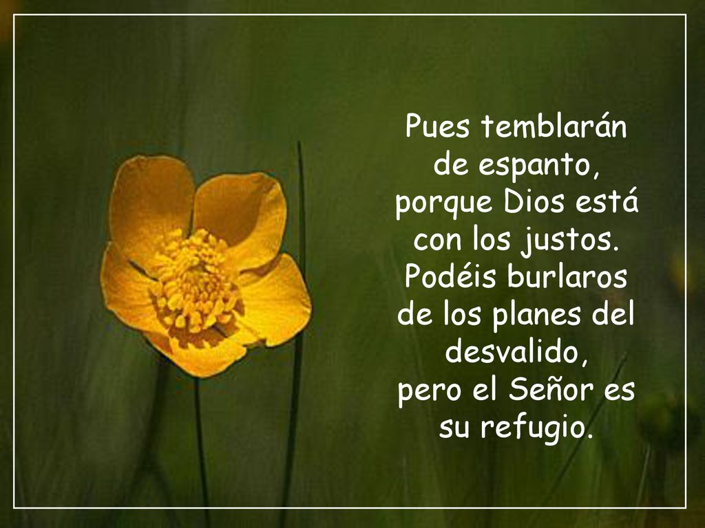 Pues temblarán de espanto, porque Dios está con los justos.
