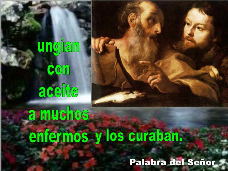 ungían con aceite a muchos enfermos y los curaban. Palabra del Señor