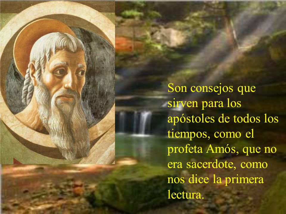 Son consejos que sirven para los apóstoles de todos los tiempos, como el profeta Amós, que no era sacerdote, como nos dice la primera lectura.