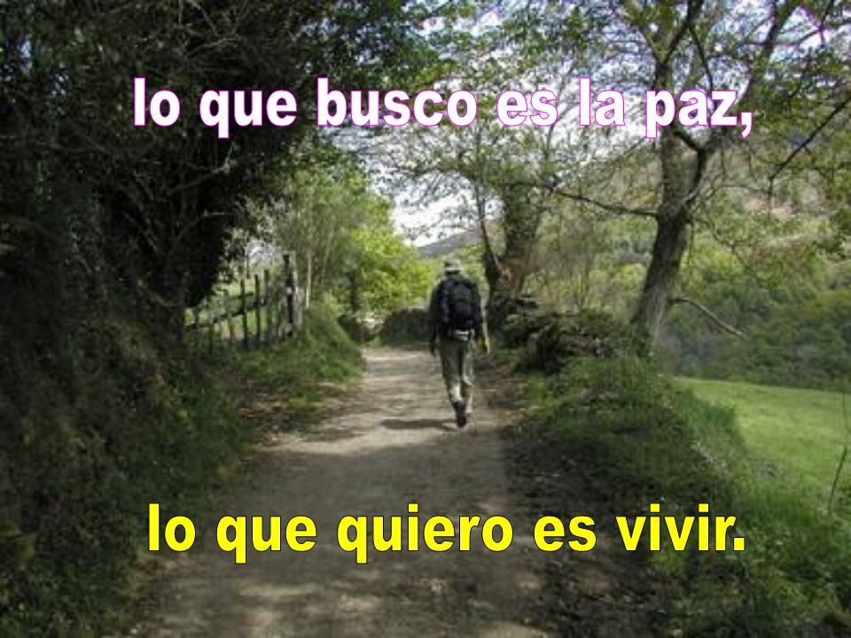 lo que busco es la paz, lo que quiero es vivir.